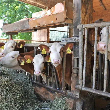 Farm stay Moyer Hoslwang