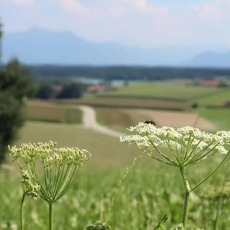 Moyer Farm stay Hoslwang